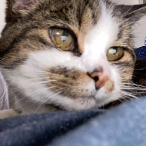 Meet your Posher, Luna